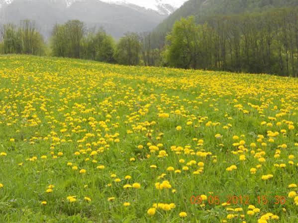 Chalet Cambra ليفينو المظهر الخارجي الصورة